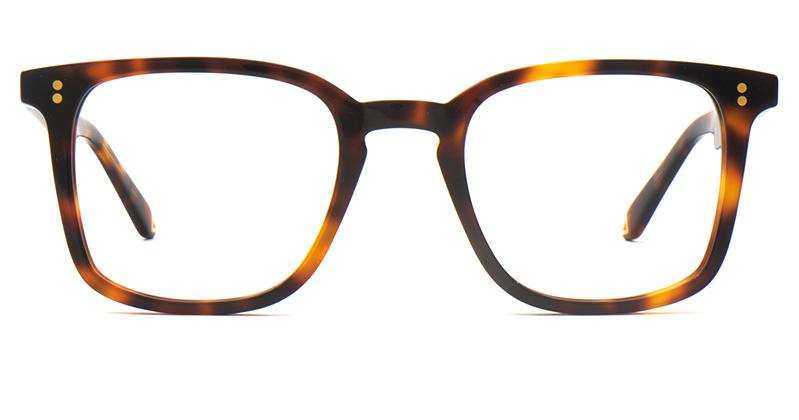 Alexis Amor Archer frames in Deep Dark Tortoise