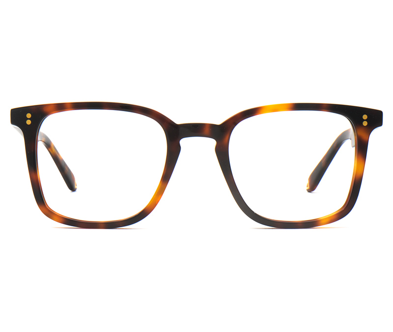Alexis Amor Archer frames in Deep Dark Tortoise