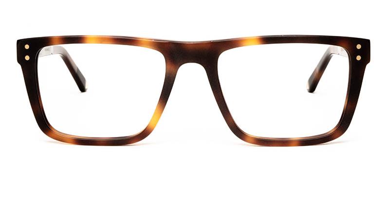 Alexis Amor Beckett frames in Matte Havana