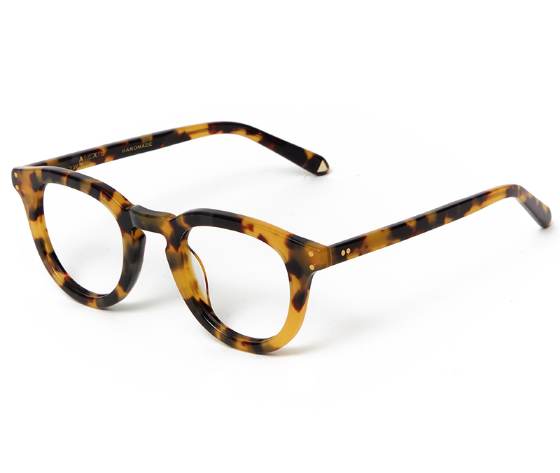 Alexis Amor Charlie X frames in Savannah Tortoise