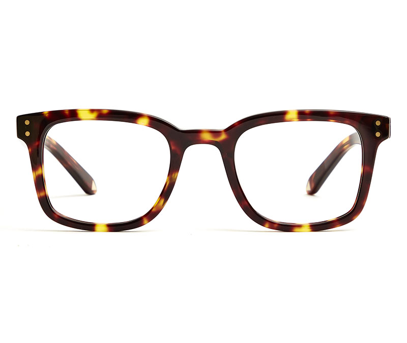 Alexis Amor Fitz frames in Dark Havana Tortoise