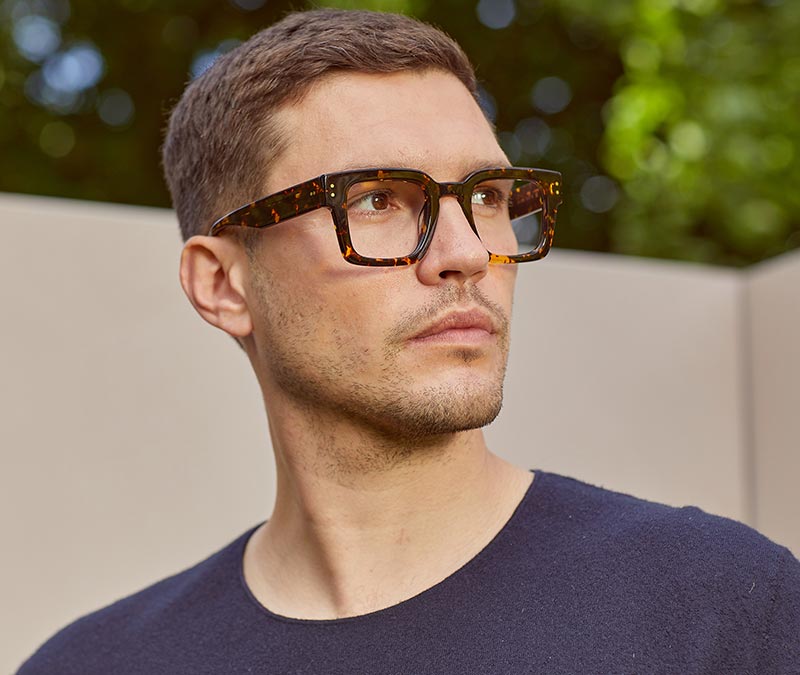 Alexis Amor Maxwell frames in Medium Dark Tortoise