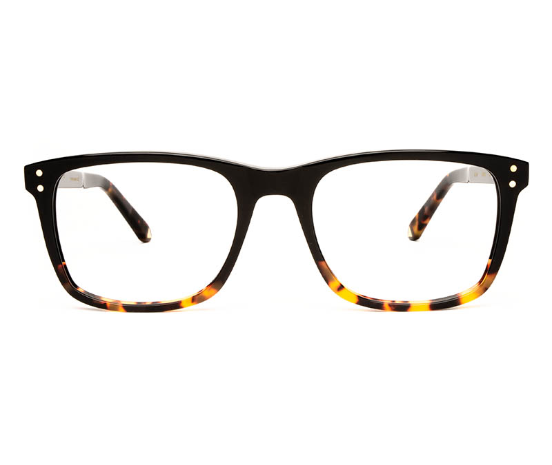 Alexis Amor Remi frames in Gloss Black + Havana