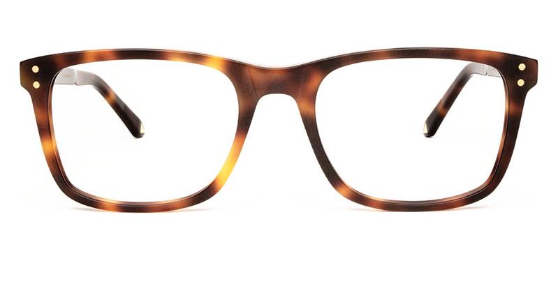 Alexis Amor Remi frames in Matte Warm Havana Glow